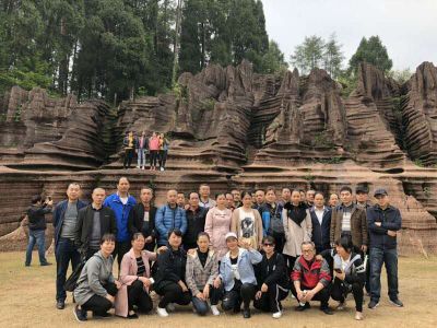 公司组织2019年度员工旅游活动